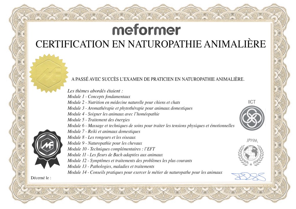 Certification en naturopathie animalière

Examen de praticien en naturopathie animalière

Obtention le 30 Mars 2022